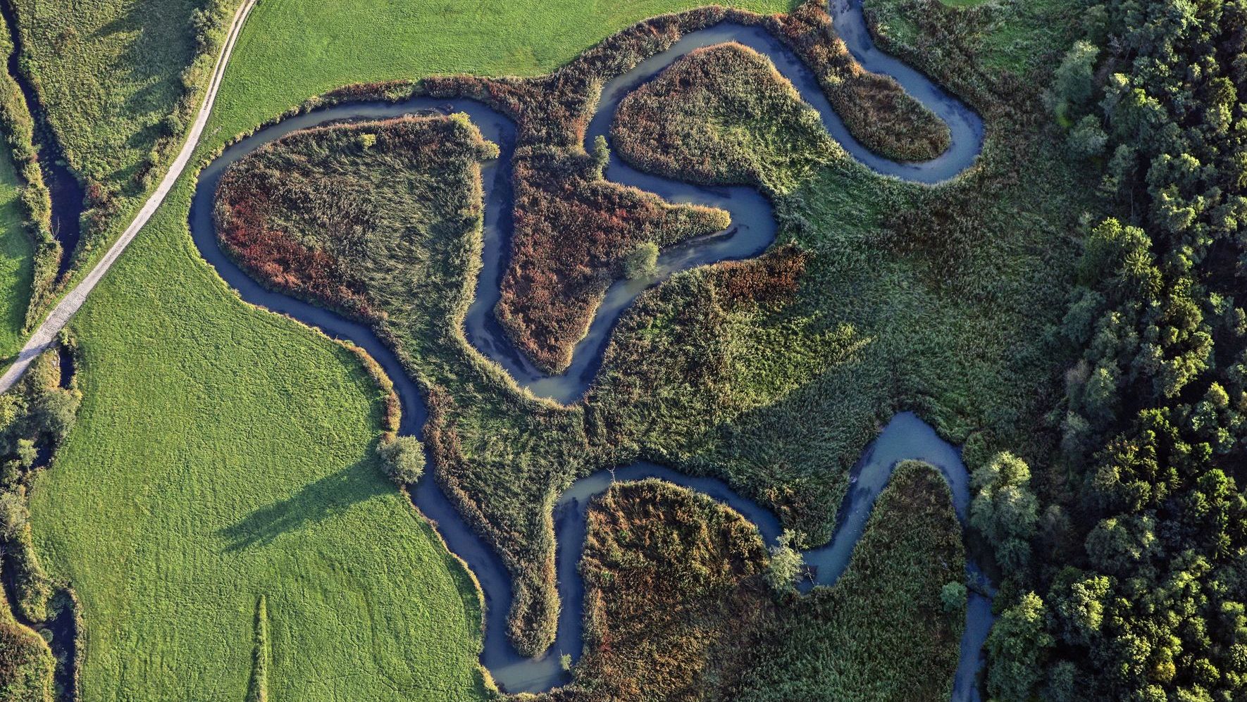 Luftaufnahme der mäandernden Abens bei Siegenburg: Ein Wassercent könnte Renaturierungsmaßnahmen finanzieren (Bild: Klaus Leidorf)