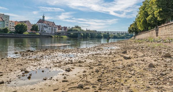 Niedrigwasser an der Donau in Regensburg (Foto: stgrafix/stock.adobe.com)