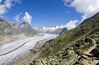 Der Aletschgletscher hat sich tief ins Tal geschnitten und die Landschaft in seiner Umgebung stark geprägt. (Foto: Holger Schultz/AdobeStock)
