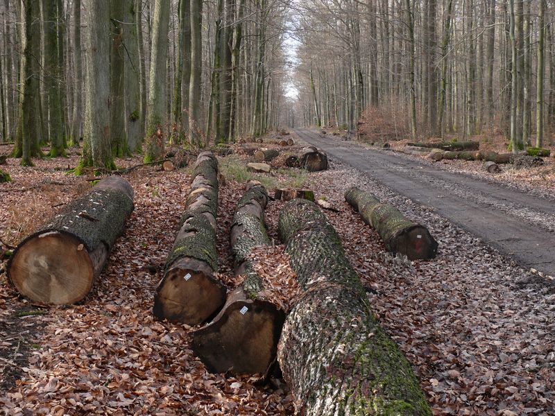 Bild: Michael Kunkel