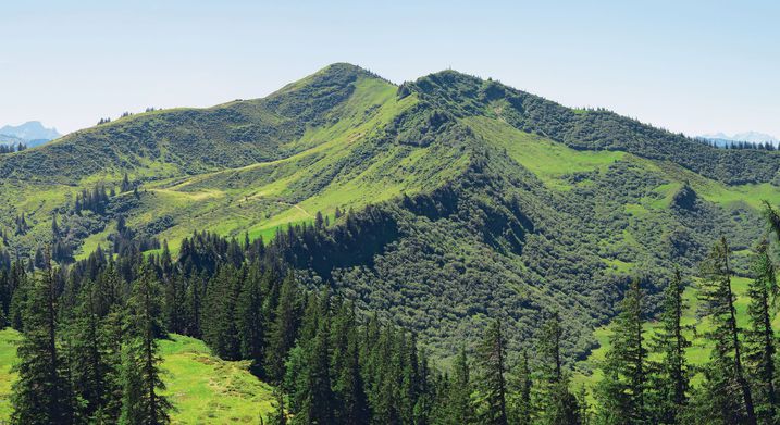 Riedberger Horn (Foto: Oswald Baumeister/Gesellschaft für ökologische Forschung)