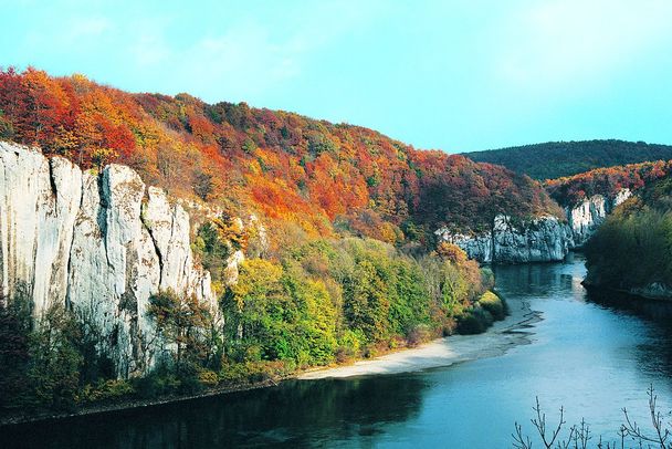 Ein herbstlicher Laubwald über den steilen Felsabstürzen des Donaudurchbruchs. Ohne den BN gäbe es dieses Naturwunder heute nicht mehr. (Foto: Wolfgang. Willner)
