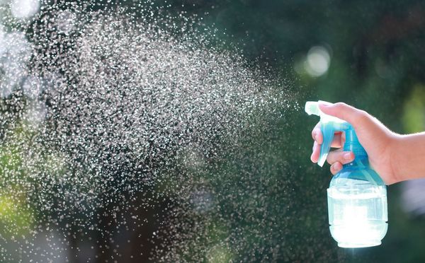 Besonders dreiste Wespen kann man sehr gut mit dem Wassernebel aus einer Sprühflsche vertreiben. (Foto: panom/stock.adobe.com) Wassernebel aus einer Sprühflasche