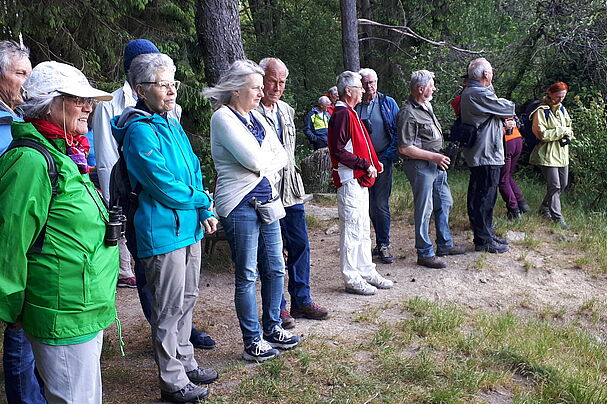 Breiter Teich, Selb, Fichtelgebirge