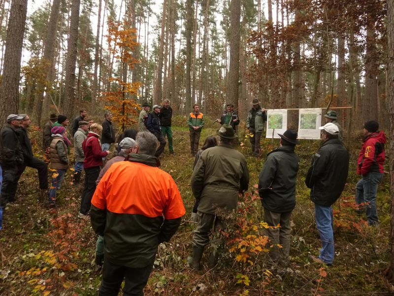 Foto: Ralf Straußberger